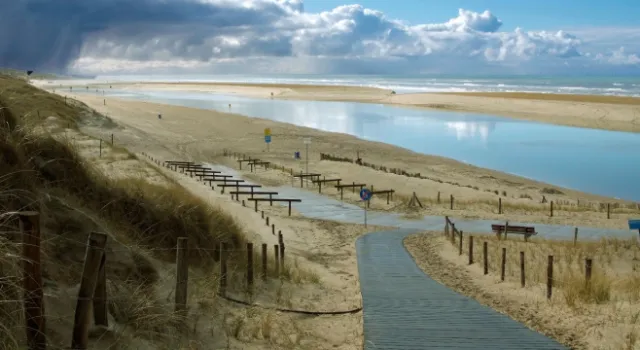 Duinen